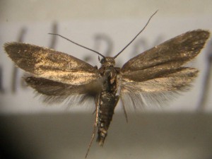 IMG_6421.JPG
