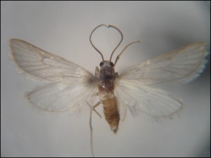 ph 085.jpg