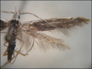 aa 013.jpg