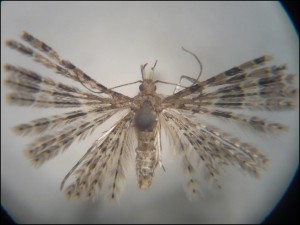 aa 014.jpg