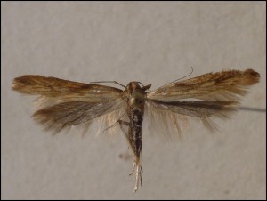 aa 023.jpg