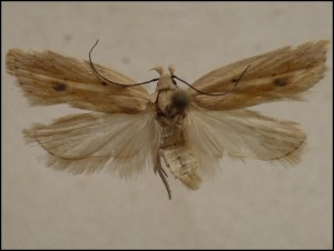 aaa 010.jpg
