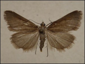 aaa 012.jpg