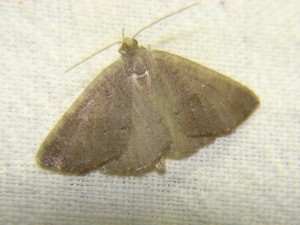 DSC05814.JPG