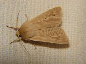 DSC05819.JPG
