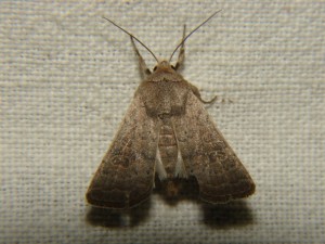 DSC05856.JPG
