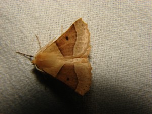 DSC05863.JPG