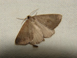 DSC05869.JPG