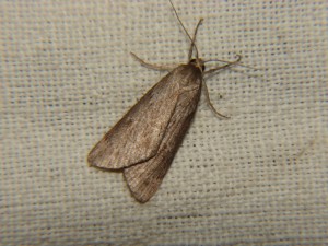 DSC05883.JPG