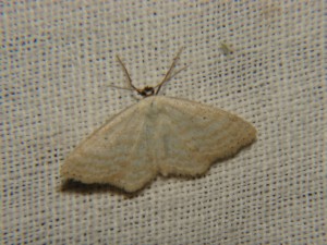 DSC06104.JPG
