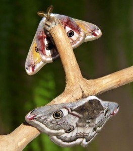P1080001 a.jpg