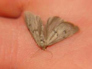 DSC06170.JPG