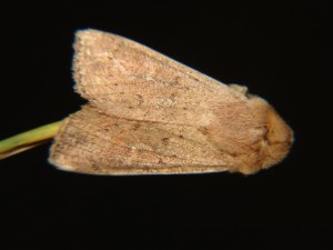 DSC06178.JPG