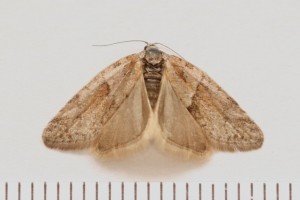 Copie de IMG_3590.jpg